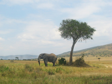 page52-1007-full