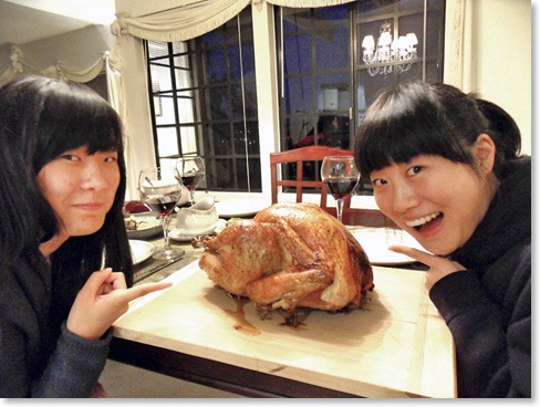Three-turkeys-10391