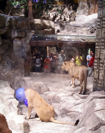 Loading Image