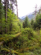 07 valley