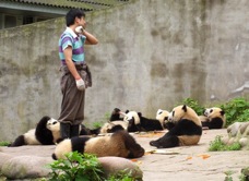 04 BG panda