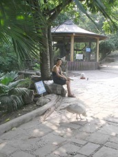 Yuqin-seated-Zoo-3215